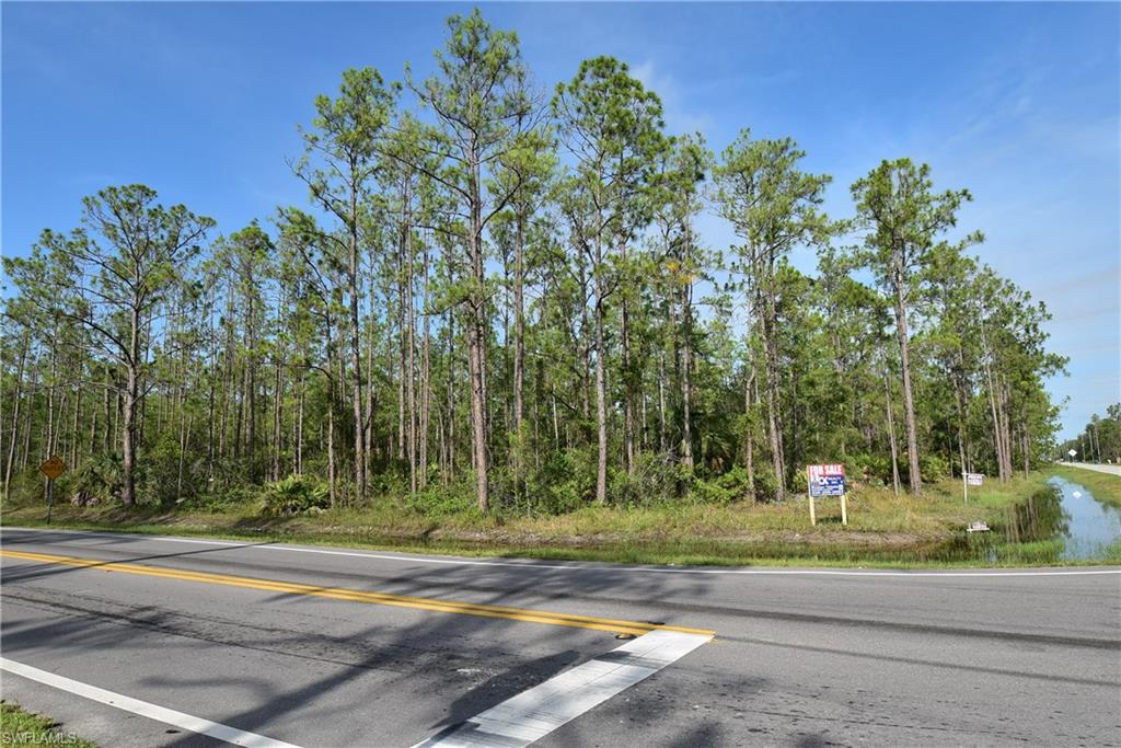 GOLDEN GATE ESTATES - Land