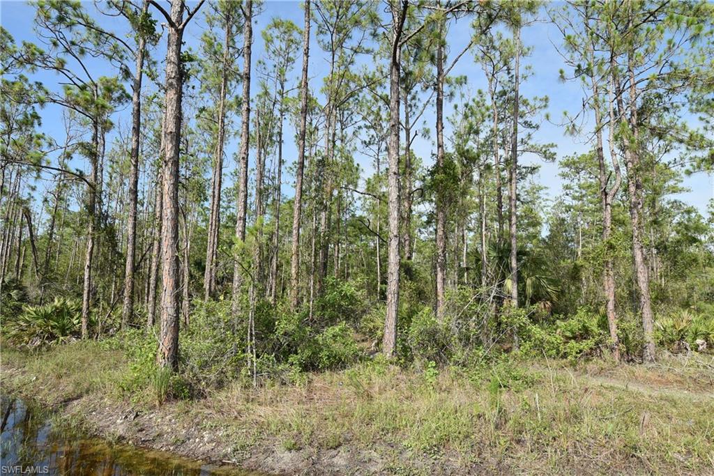 GOLDEN GATE ESTATES - Land