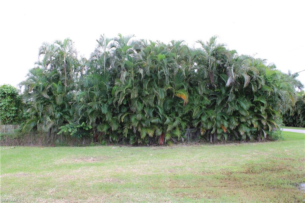 PLANTATION ISLAND - Land