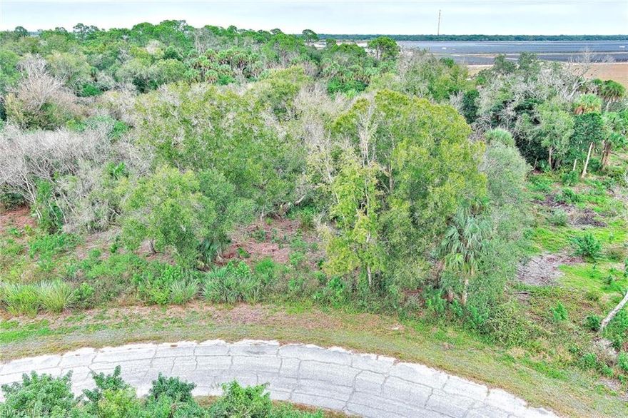 Discover the perfect spot to build your Florida retreat on this 0.27-acre vacant lot in the growing community of LaBelle. Located in a peaceful neighborhood with easy access to SR-80, schools, shops, and local amenities. No HOA and plenty of space for your custom home, investment property, or future plans. Don’t miss this affordable opportunity in a fast-developing area!