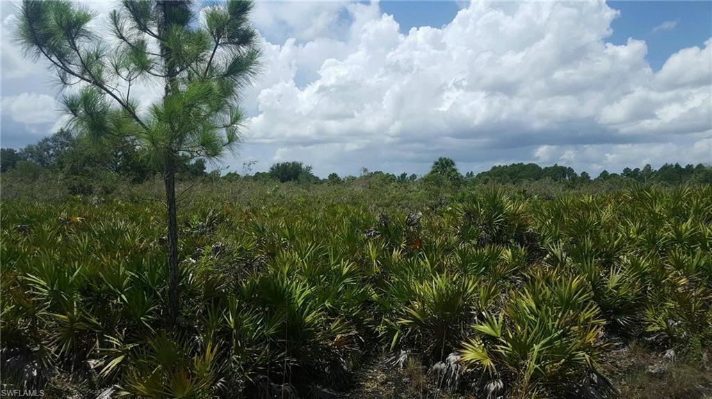 WHEELERS SUBD - Land