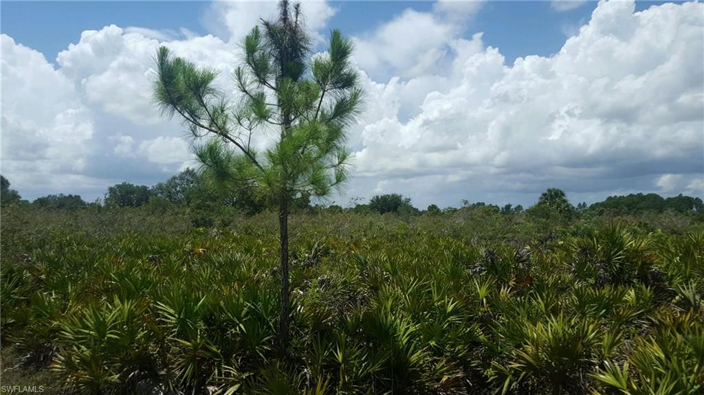 WHEELERS SUBD - Land