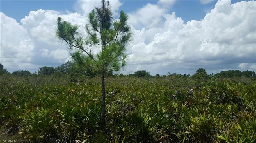 Come build your dream home on this beautiful 1.25 acres lot. This property is located in Hendry County and there are zero impact fees. The canals from the photos is the canal at the end of 9th PL. Call today!