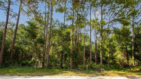 7176 Norway ST WEBSTER FL 33597