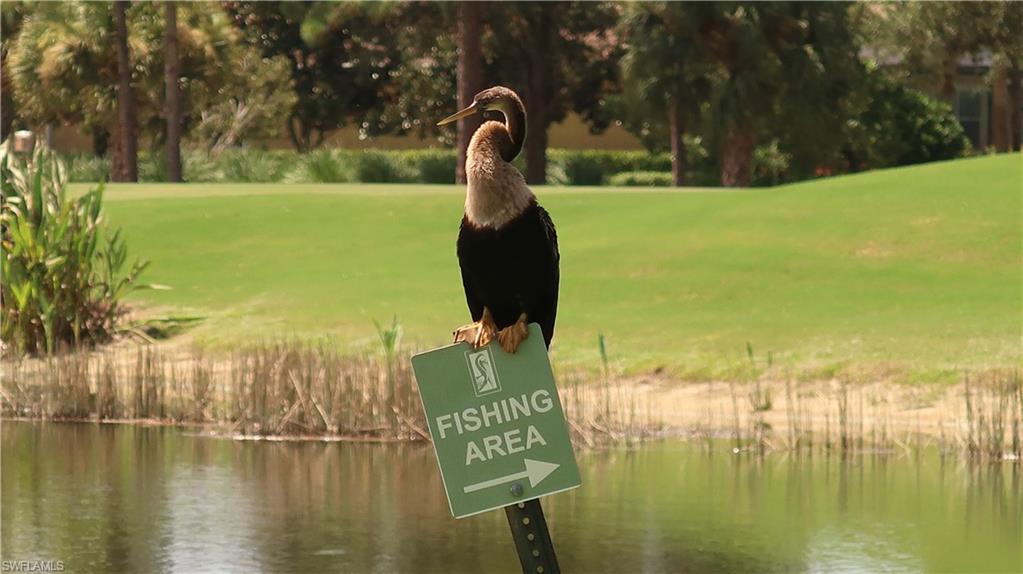 RAVENNA - Residential