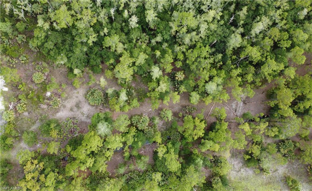 GOLDEN GATE ESTATES - Land