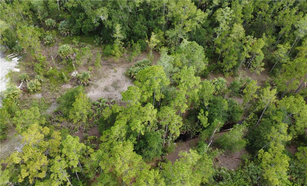 GOLDEN GATE ESTATES - Land