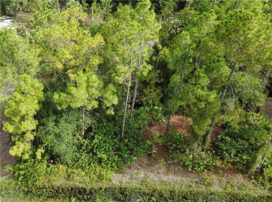 L6601-Where tranquil country living puts you in the middle of everything! This homesite is located in the fastest growing area of Naples.  Southern pines and hardwoods will set the backdrop of your dream home.  Life, pet, fence, and garden friendly with no HOA rules or fees.  Notable destinations close by are the new Founder’s Square and Big Corkscrew Island Regional Park.