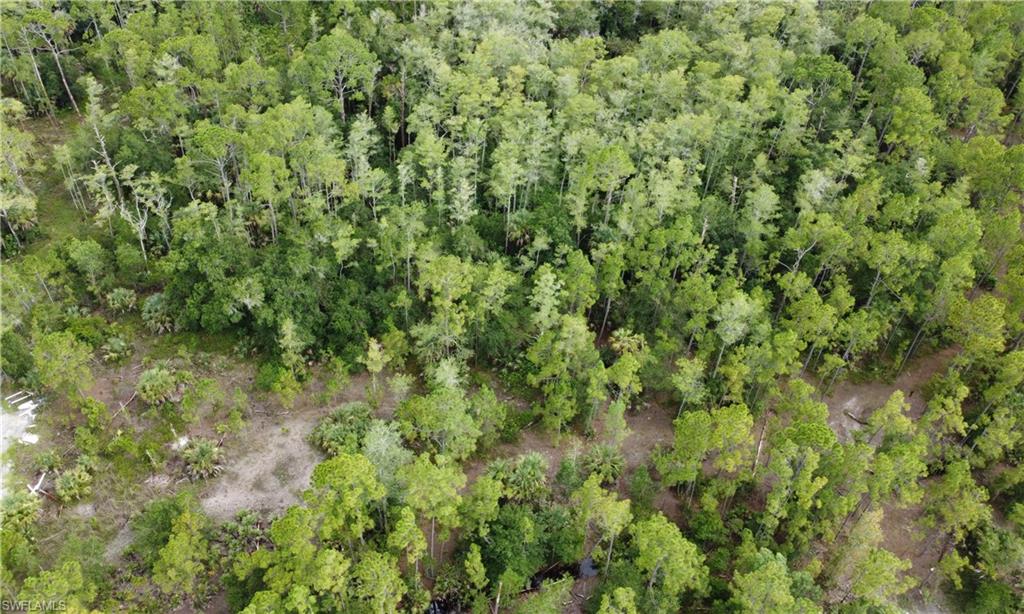 GOLDEN GATE ESTATES - Land