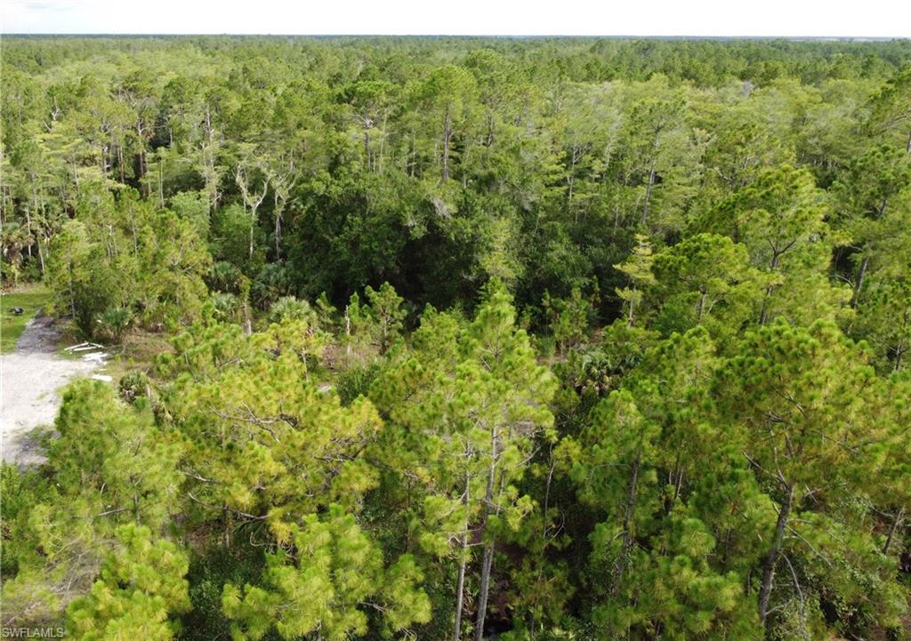 GOLDEN GATE ESTATES - Land