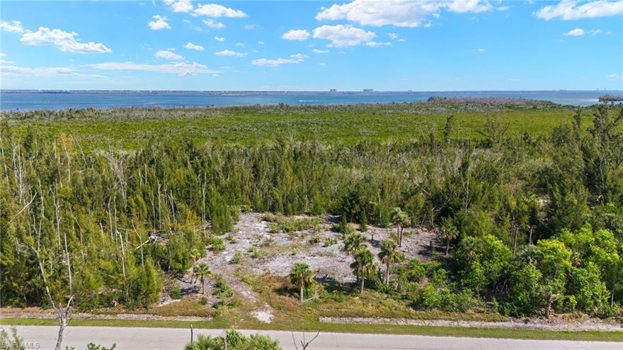 This large, beautiful, build lot in Pine Islands Tropical Homesites could be yours.  The owner has a wetlands determination showing the lot as uplands and has even cleared a spot for construction of a single family home.  This lot is ready for your dream homes construction.  Tropical Homesites offers central water and a quiet environment.  Within walking distance is a beautiful county park that is right on the sound where you can launch small boats or have a picnic.  This lot backs up to a land preserve with walking trails that is on the sound that will never be built on.  There also aren't homes built on the lots to either side.  The privacy is hard to beat!  Inquire today to learn more about this amazing opportunity to build a home or for investment.