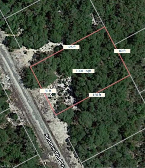 215 Summer Wind LN LAKE PLACID FL 33852