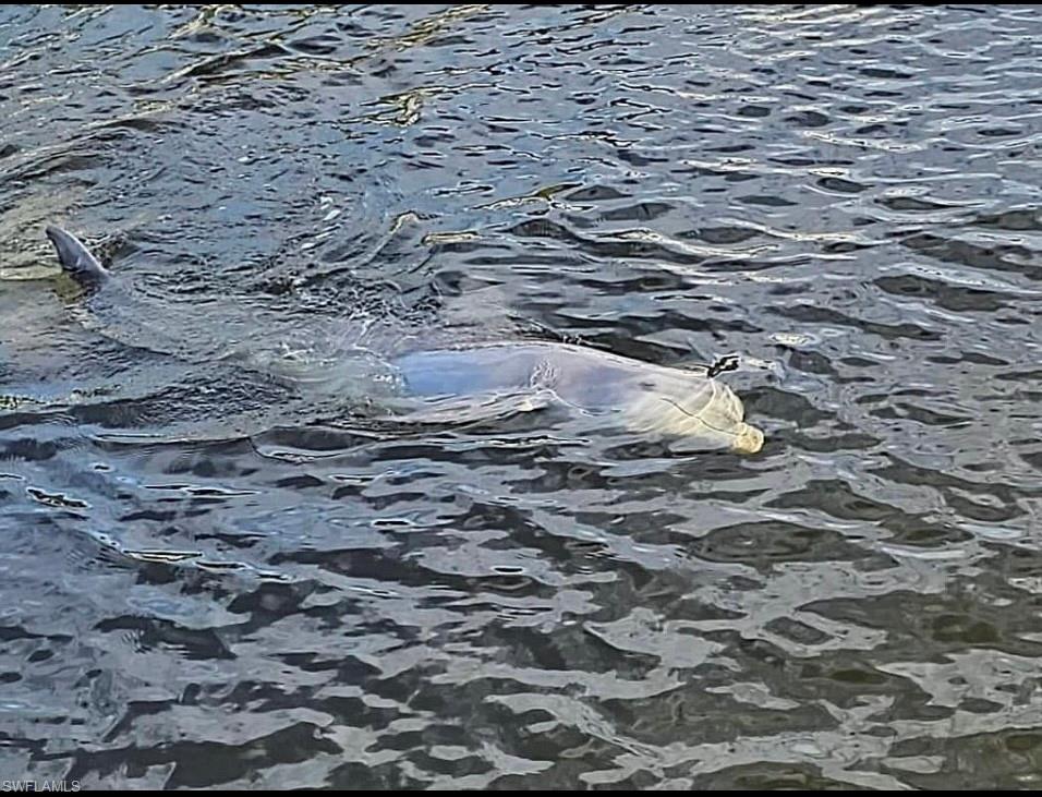 CHERRY ESTATES - Land