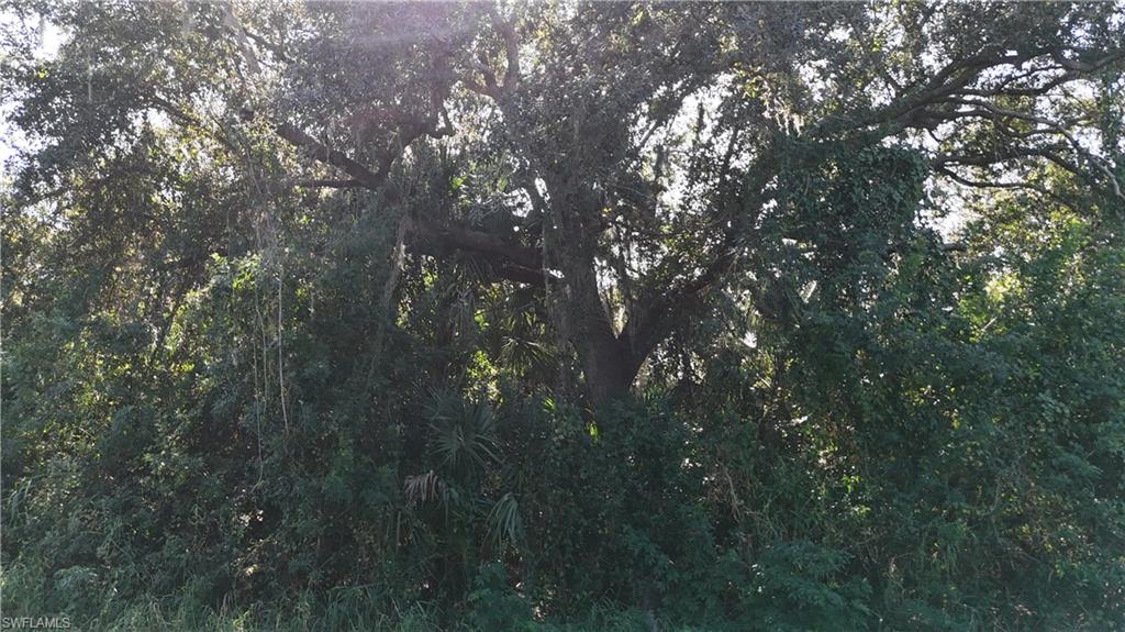 NOT APPLICABLE - Land