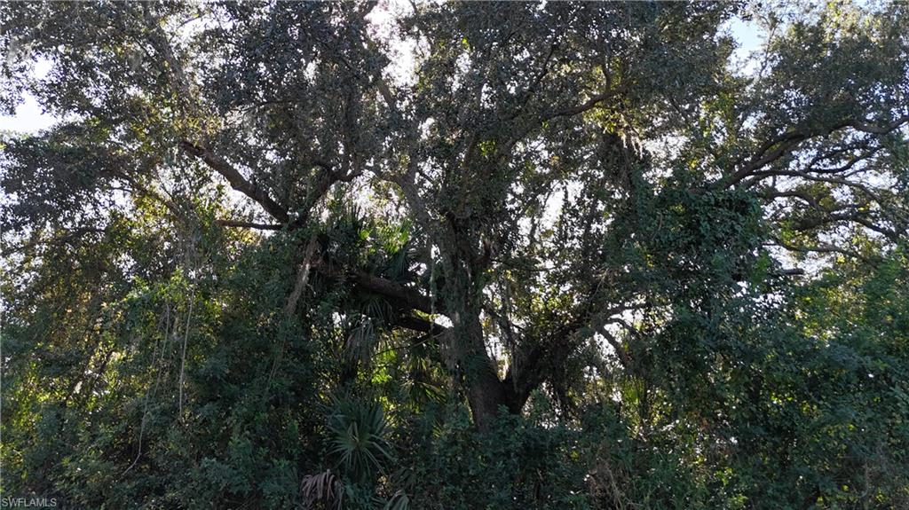 NOT APPLICABLE - Land