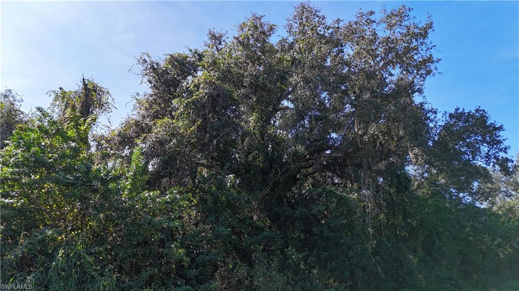 NOT APPLICABLE - Land