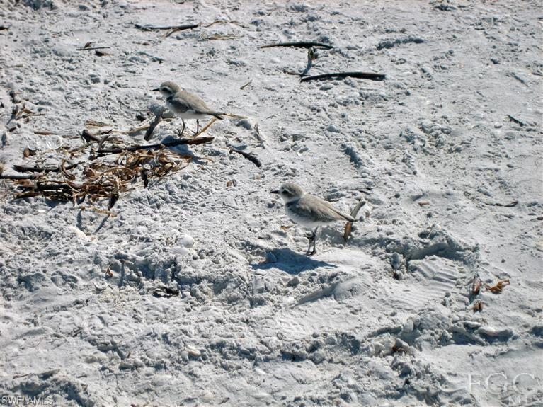 Sandalfoot Condominium - Residential