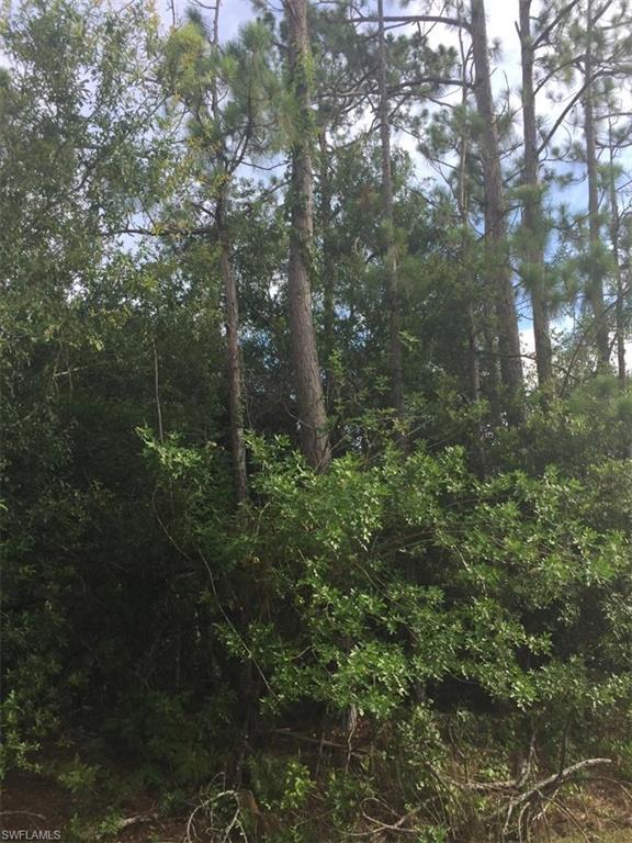 GOLDEN GATE ESTATES - Land