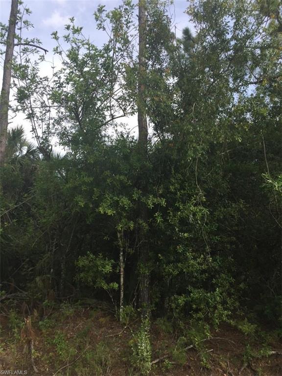 GOLDEN GATE ESTATES - Land