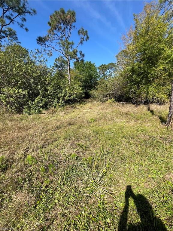 PUNTA GORDA - Residential