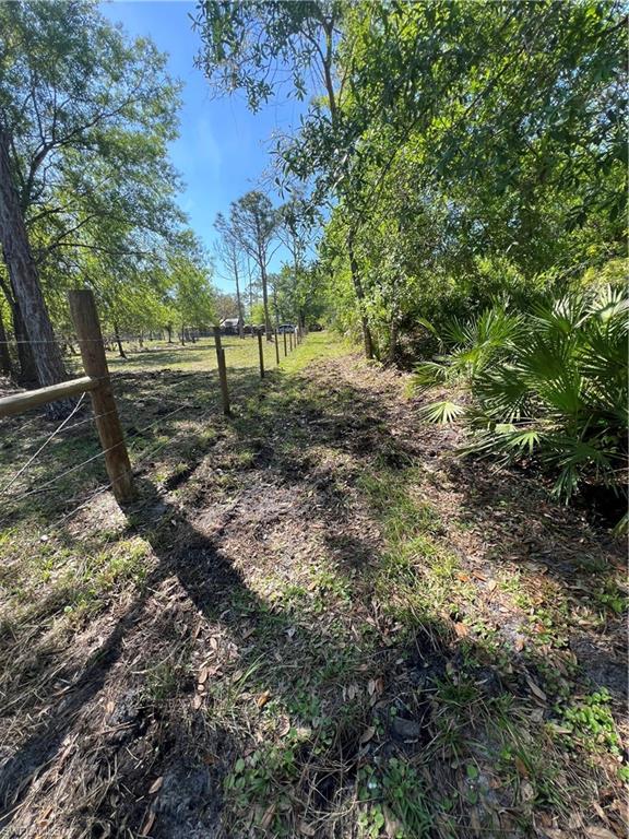 PUNTA GORDA - Residential