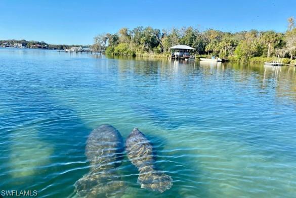 SUNRISE CAY - Residential Lease