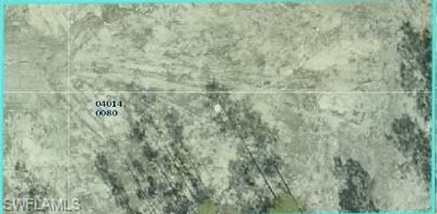 Clear 1/2 acre lot in the rapidly growing Lehigh Acres area! Whether you're looking to invest or build your dream home, this property offers incredible potential.  BUY NOW!