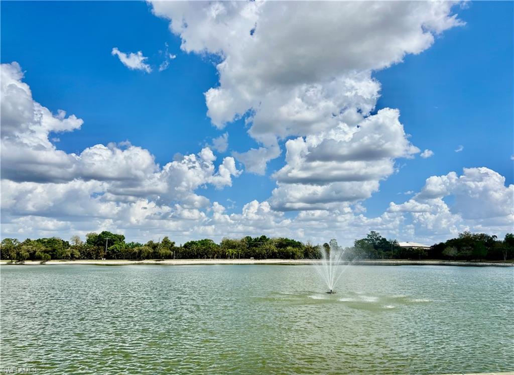 PINE RIDGE OF FORT MYERS VILLAGE - Residential