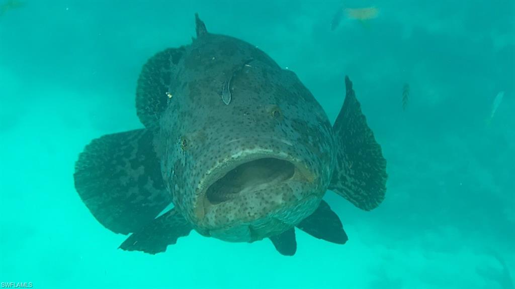 ISLES OF CAPRI - Land