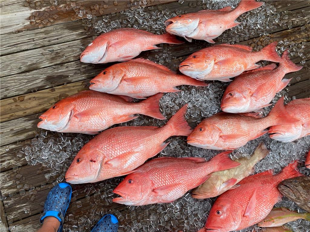 ISLES OF CAPRI - Land