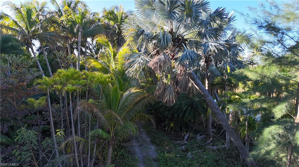 ISLAND ESTATE NORTH UNRECORDED SUBDIVISION - Land