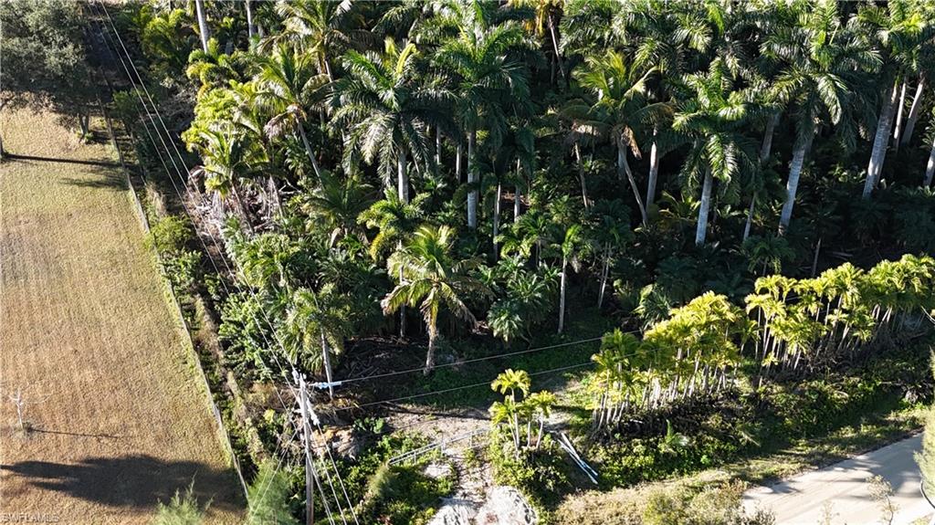 ISLAND ESTATE NORTH UNRECORDED SUBDIVISION - Land