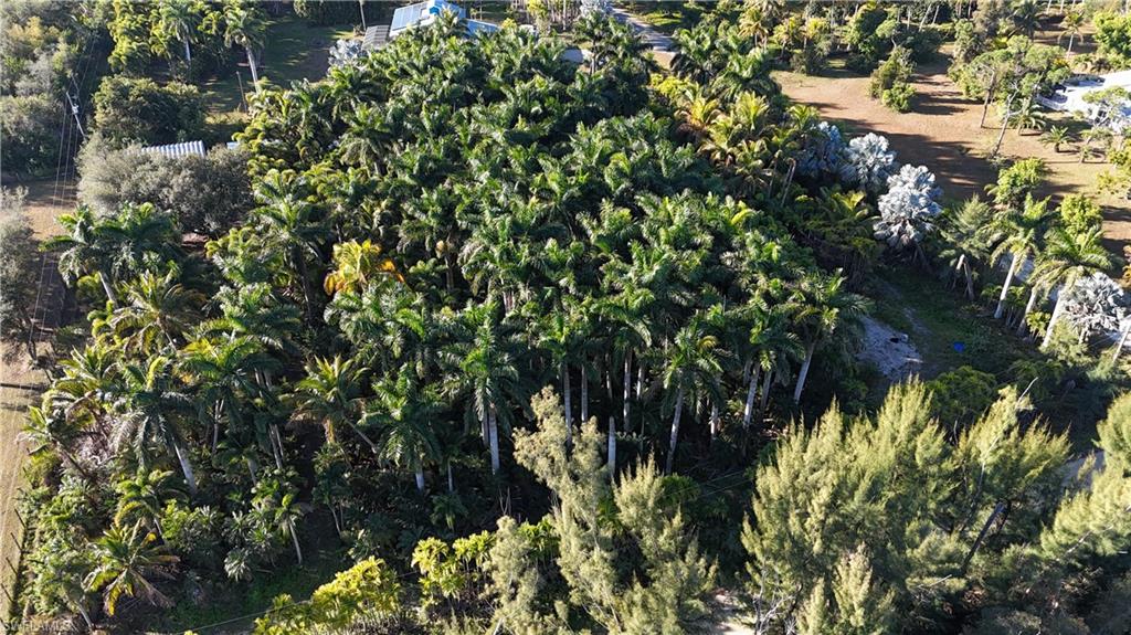 ISLAND ESTATE NORTH UNRECORDED SUBDIVISION - Land