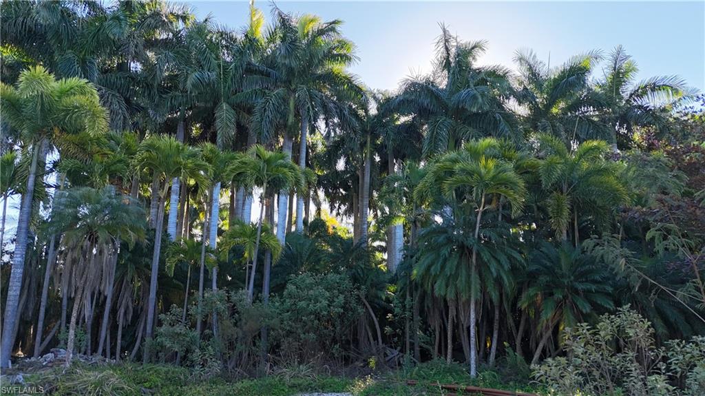 ISLAND ESTATE NORTH UNRECORDED SUBDIVISION - Land