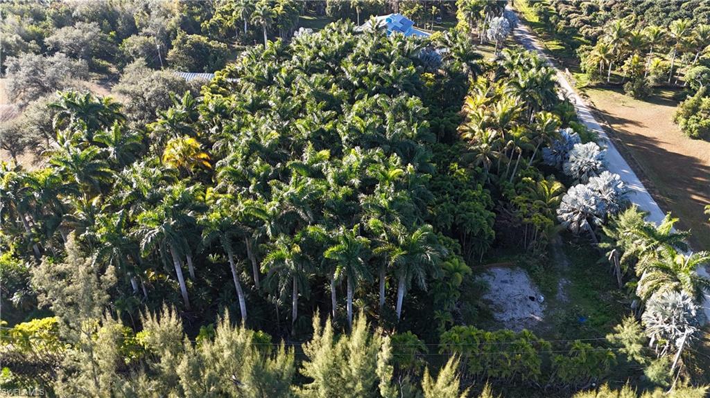 ISLAND ESTATE NORTH UNRECORDED SUBDIVISION - Land