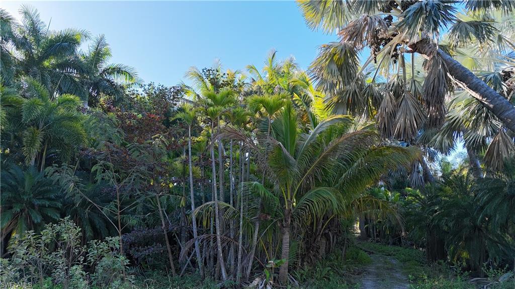 ISLAND ESTATE NORTH UNRECORDED SUBDIVISION - Land