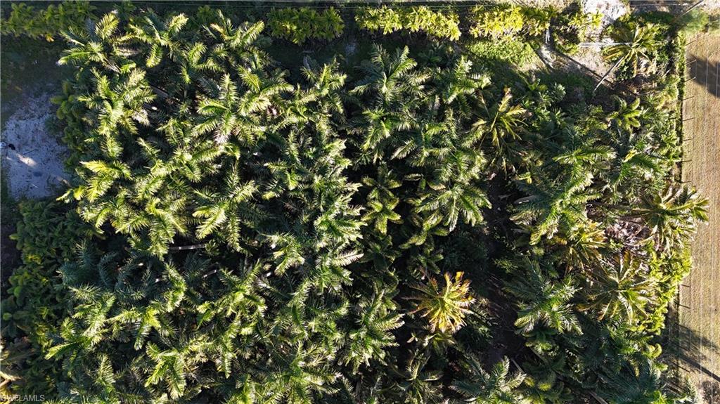 ISLAND ESTATE NORTH UNRECORDED SUBDIVISION - Land