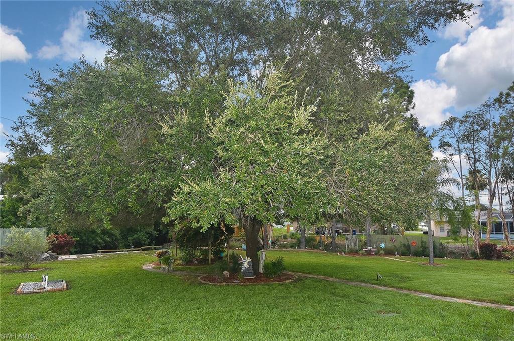 SAN CARLOS PARK - Residential