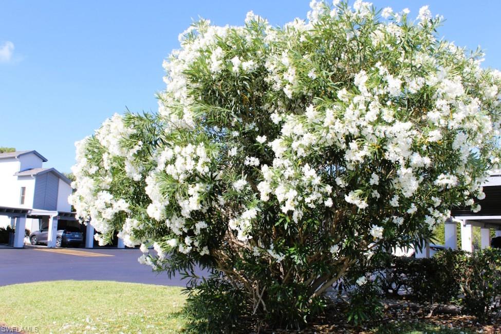 NEWPORT GLEN - Residential