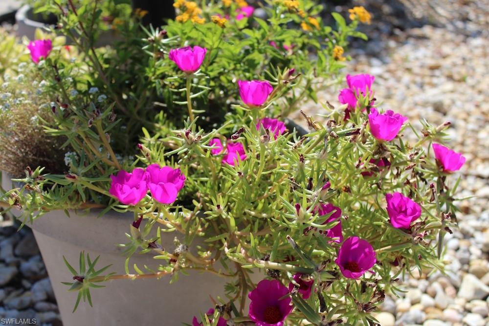 NEWPORT GLEN - Residential