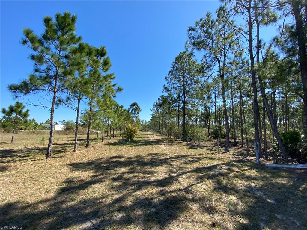 PUNTA GORDA - Residential