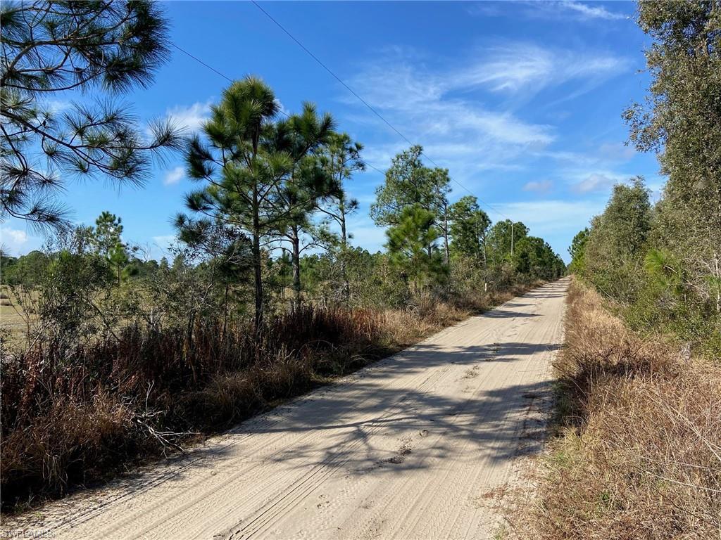 PUNTA GORDA - Residential