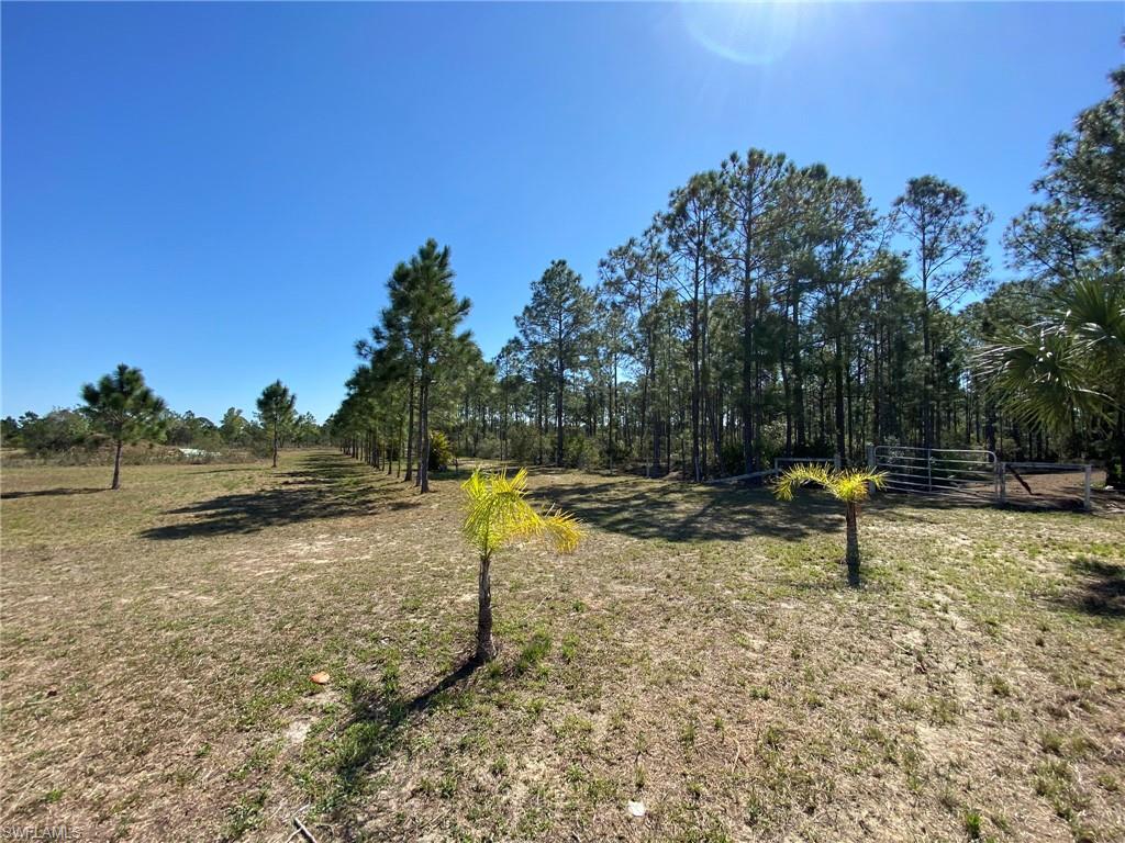 PUNTA GORDA - Residential