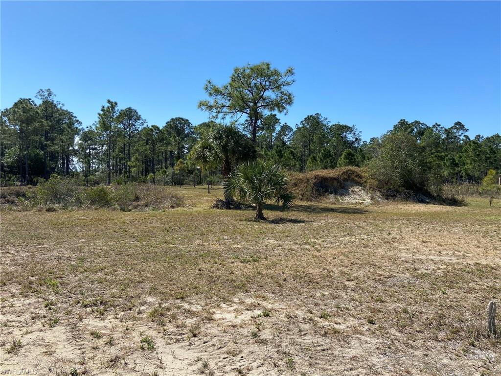 PUNTA GORDA - Residential