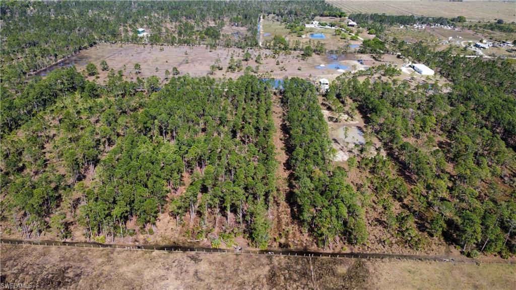 PUNTA GORDA - Residential