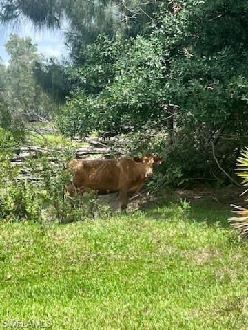 NOT APPLICABLE - Land