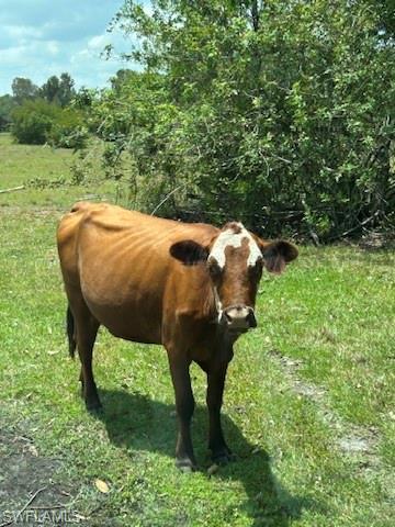 NOT APPLICABLE - Land