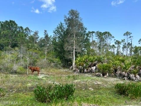 NOT APPLICABLE - Land