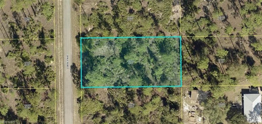 Great 1/2 acre lot not far off Richmond Ave N. Great area of new homes yet private and secluded. Close to central Lehigh Acres and all shopping.