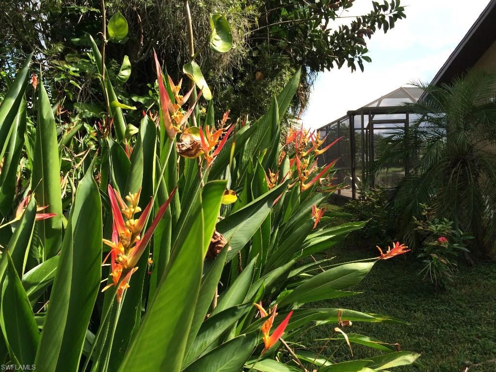 ROOKERY - Residential